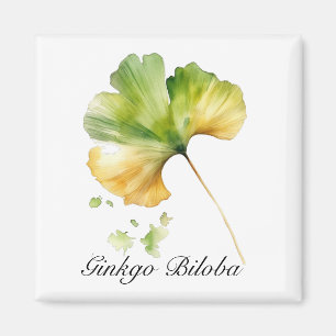 Kräuterleben: Ginkgo Biloba-Blattwasserfarbe Magnet