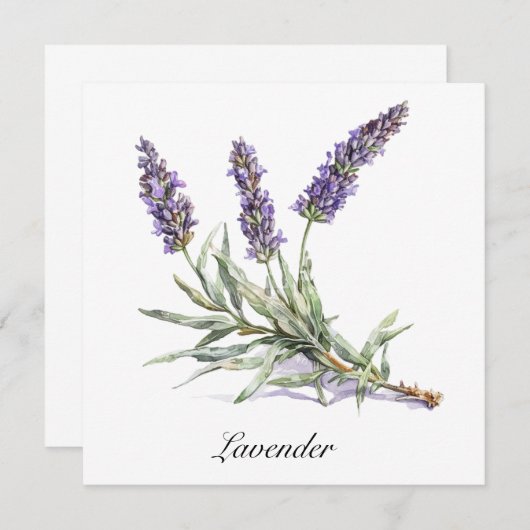 Kräuterleben: Lavendel, anpassbar (Vorne/Hinten)