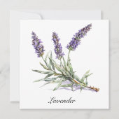 Kräuterleben: Lavendel, anpassbar (Vorderseite)