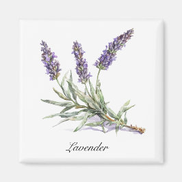 Kräuterleben: Lavendel, anpassbar Magnet