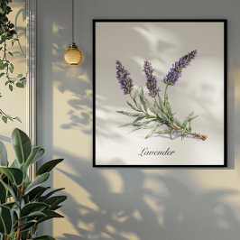 Kräuterleben: Lavendel, anpassbar Poster