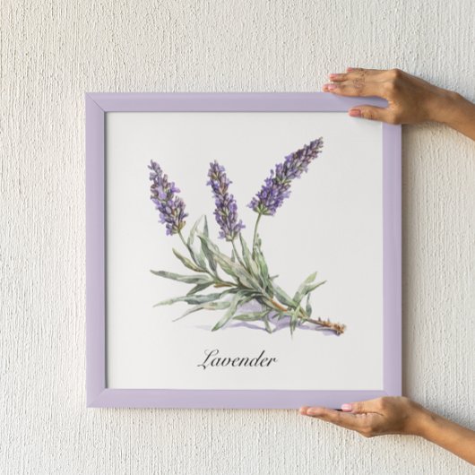 Kräuterleben: Lavendel, anpassbar Poster