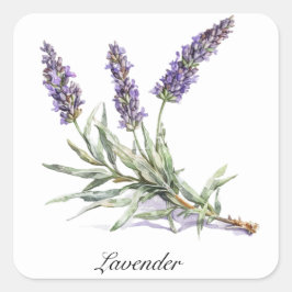 Kräuterleben: Lavendel, anpassbar Quadratischer Aufkleber