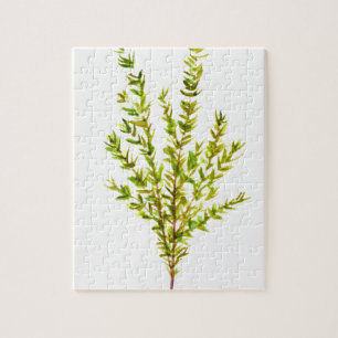 Kräuterpflanzen Botanischer Kräuterkraut, Aquarell Puzzle
