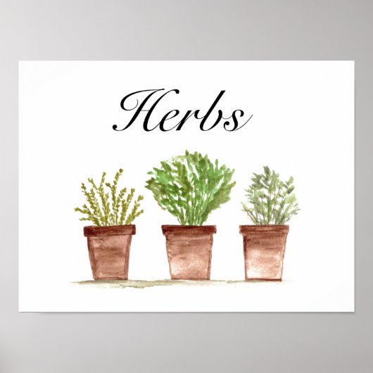 Kräuterpflanzen Thyme Rosemary Parsley Pflanze Poster (Vorne)