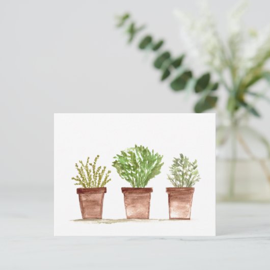Kräutersalg, Rosmarin, Thymigarten Postkarte (Stehend Vorderseite)