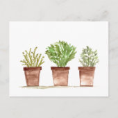 Kräutersalg, Rosmarin, Thymigarten Postkarte (Vorderseite)