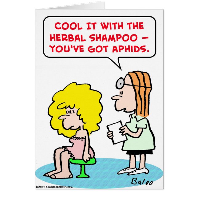 Kräutershampooblattläuse (Vorne)