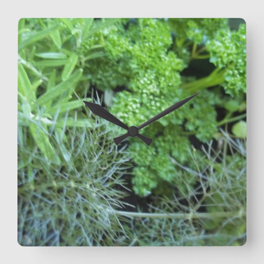 Kräuteruhr Quadratische Wanduhr (Vorderseite)