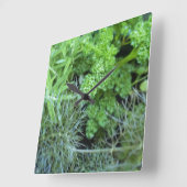 Kräuteruhr Quadratische Wanduhr (Winkel)