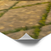 Kräuterweisheit aus dem antiken botanischen Buch Poster (Ecke)