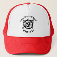 Krav Maga Martial Arts Krav Maga und KAPAP