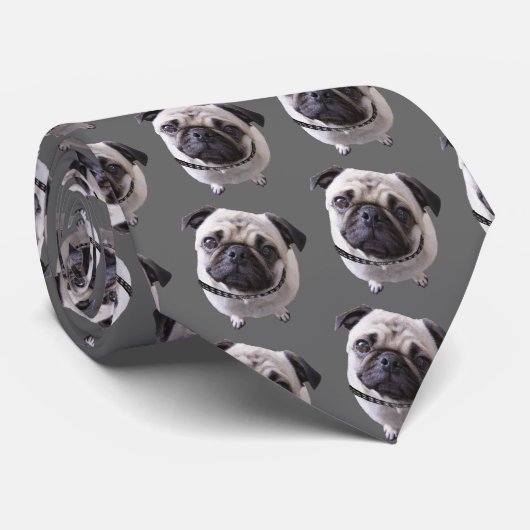 Kravatte "Mops" Krawatte (Gerollt)