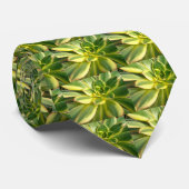 Krawatte #2 (Gerollt)