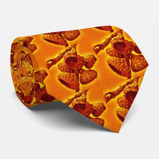 Krawatte Acorn Cap - Orange (Gerollt)