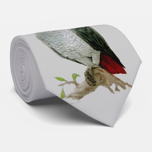 Krawatte - afrikanisches Grau-Papagei (Gerollt)