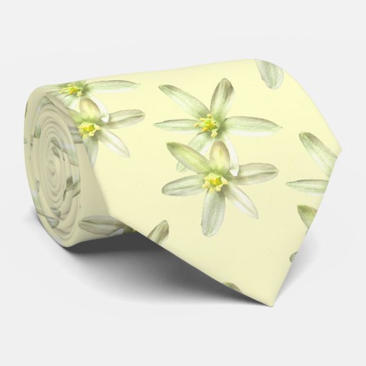 Krawatte Bethlehem (Gerollt)