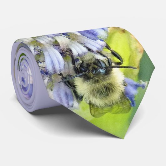 Krawatte der Bienen (Gerollt)