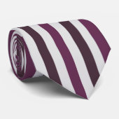 Krawatte der farbigen Streifen (Gerollt)