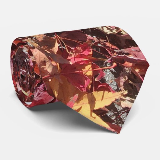 Krawatte der Herbstverläufe (Gerollt)