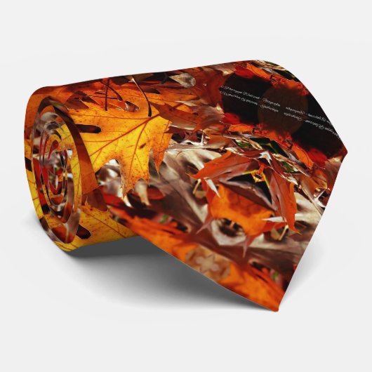 Krawatte der Männer (Gerollt)