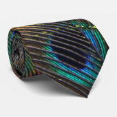 Krawatte der natürlichen Pfauenfeder (Gerollt)