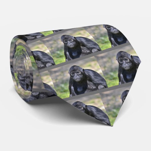 Krawatte der Spinne (Gerollt)