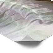 Krawatte der Wirbelsäule Poster (Ecke)