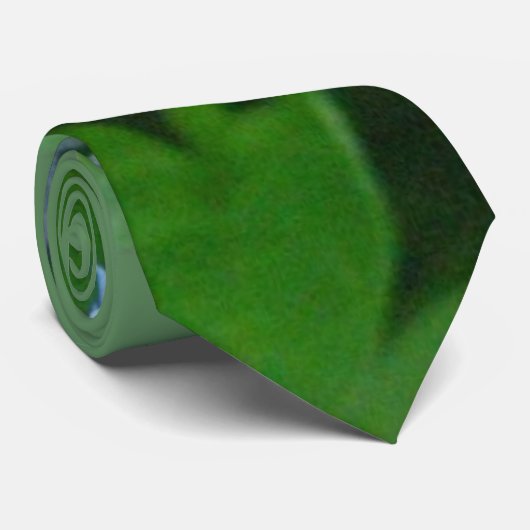 Krawatte des Bluebell-06 (Gerollt)