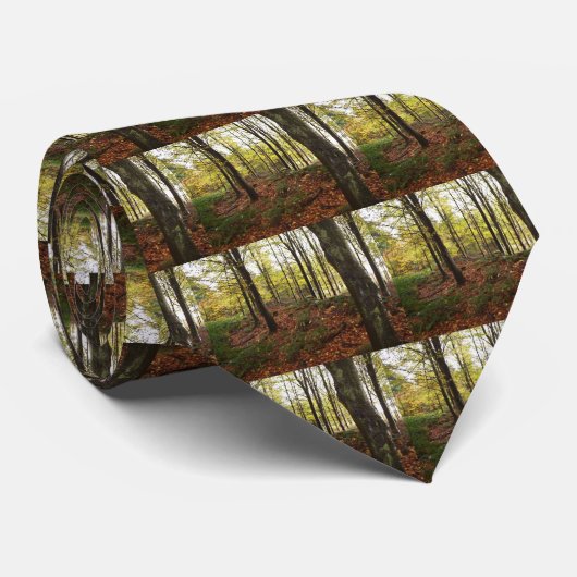 Krawatte des Erdtages (Gerollt)