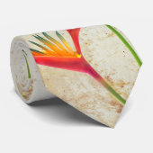 Krawatte des Paradieses (Gerollt)