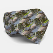 Krawatte des Schildkrötenpanzers (Gerollt)