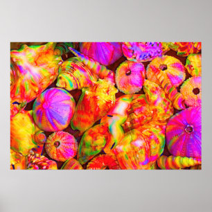 Krawatte Dyed Muscheln Poster