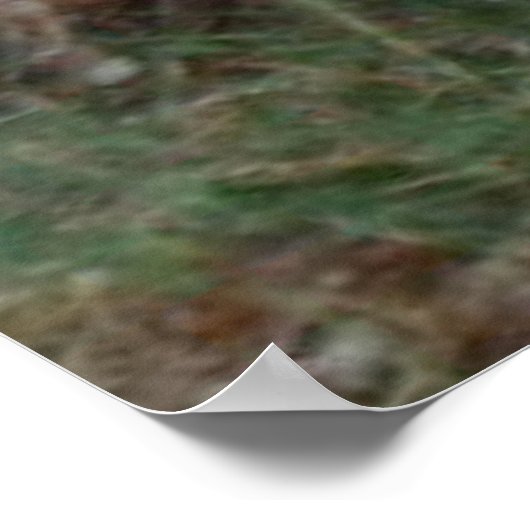 Krawatte Dyed Silkie Chickens in Pastellfarben Poster (Ecke)