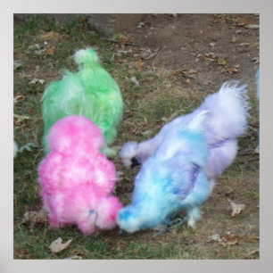Krawatte Dyed Silkie Chickens in Pastellfarben Poster