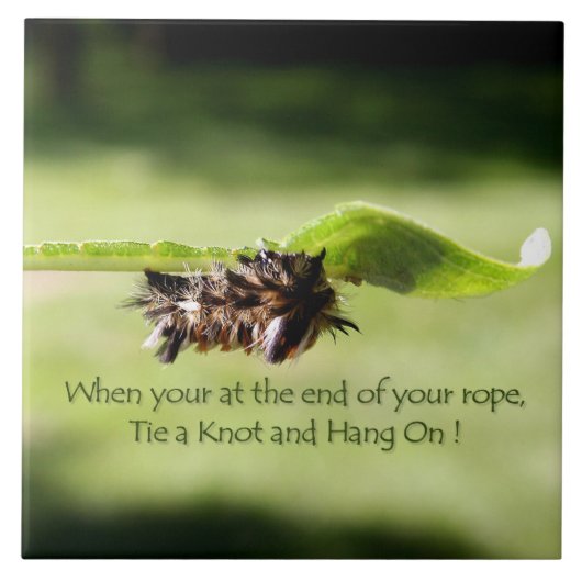 "Krawatte ein Knoten und ein Fall auf" Decrotive Fliese (Vorderseite)