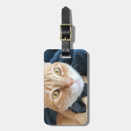 Krawatte Gepäckanhänger (Vorderseite vertikal)