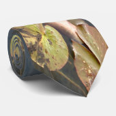 Krawatte Herbstbeläge - Original (Gerollt)