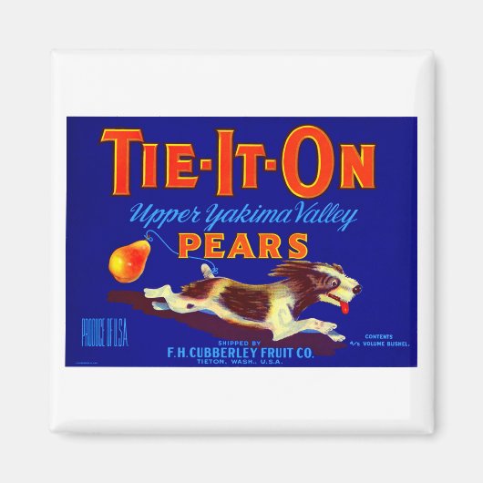 Krawatte-it-On-Birnen Magnet (Vorne)