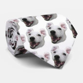 Krawatte - Jack-Russell-Terrier (Gerollt)