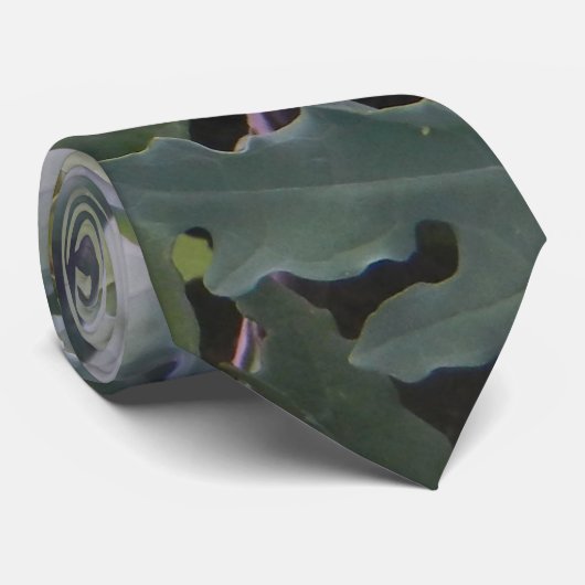 Krawatte Kale (Gerollt)