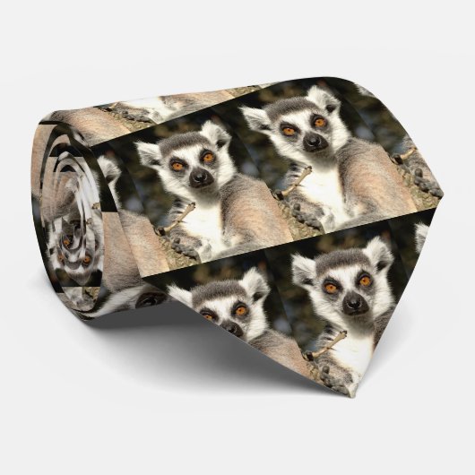 Krawatte Lemur2 (Gerollt)