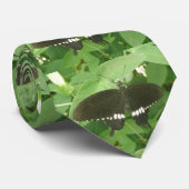 Krawatte Mormon Butterfly (Gerollt)