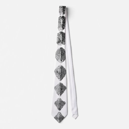 Krawatte Necktie - SCUTES Sturgeon Huge (Vorderseite)