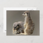 Krawatte Postkarte (Vorne/Hinten)