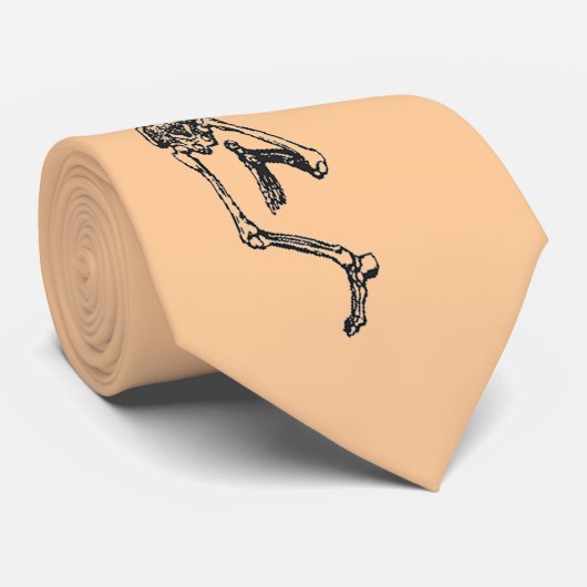 Krawatte Skeleton Halloween (Gerollt)