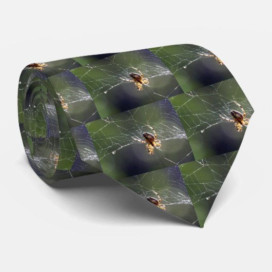 Krawatte - Spione im Web (Gerollt)