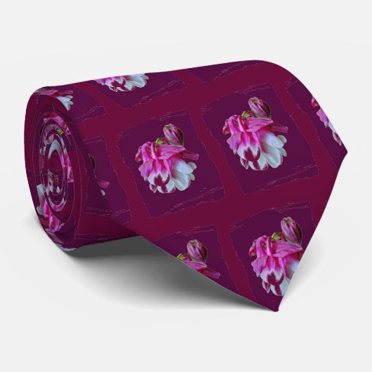 Krawatte von Kolumbien (Gerollt)