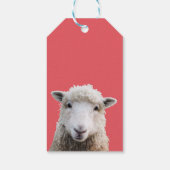 Krawatte von Tagestrichen Geschenkanhänger (Rückseite)