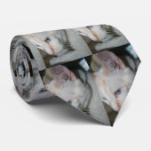 Krawatte, weiße Katze Krawatte (Gerollt)